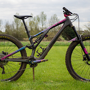 2021 Specialized Stumpjumper Evo LTD - Pinky Boy