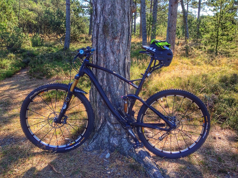 Canyon Nerve Al 29 9 9 Sl N65 S Bike Check Vital Mtb