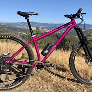 Moxie in Oregon