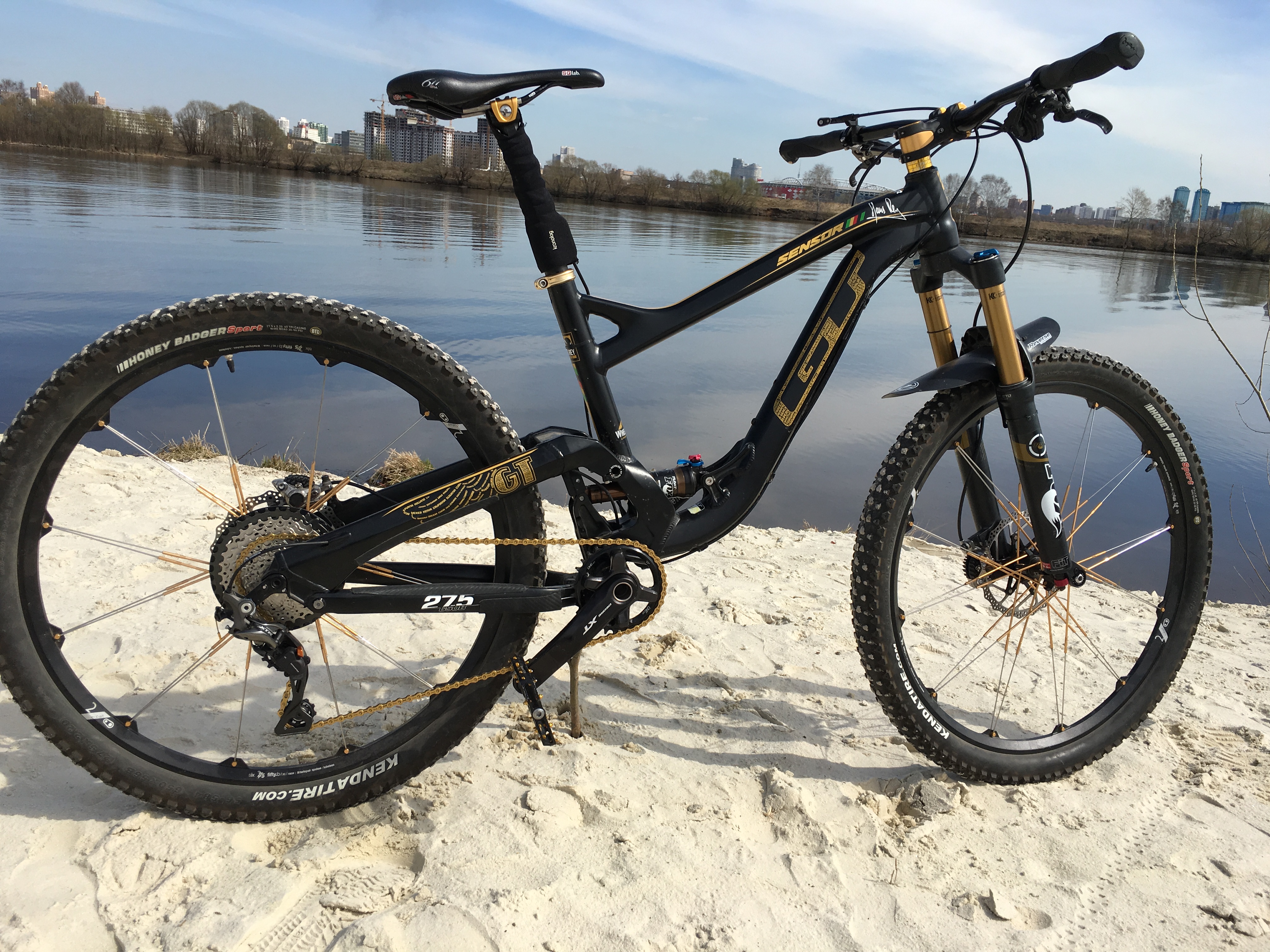 GT sensor Hans Rey 2014 StasGT's Bike Check Vital MTB