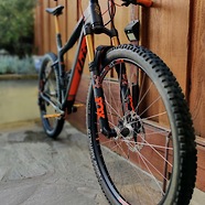 "Lou Seal" Ibis DV9