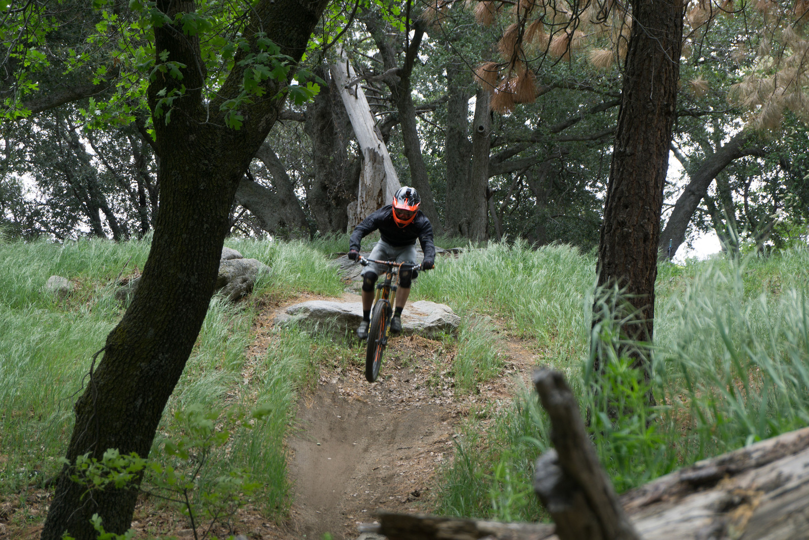 IMG 0652 (1) Drew_Anderson Mountain Biking Pictures Vital MTB