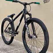 DMR SECT CUSTOM