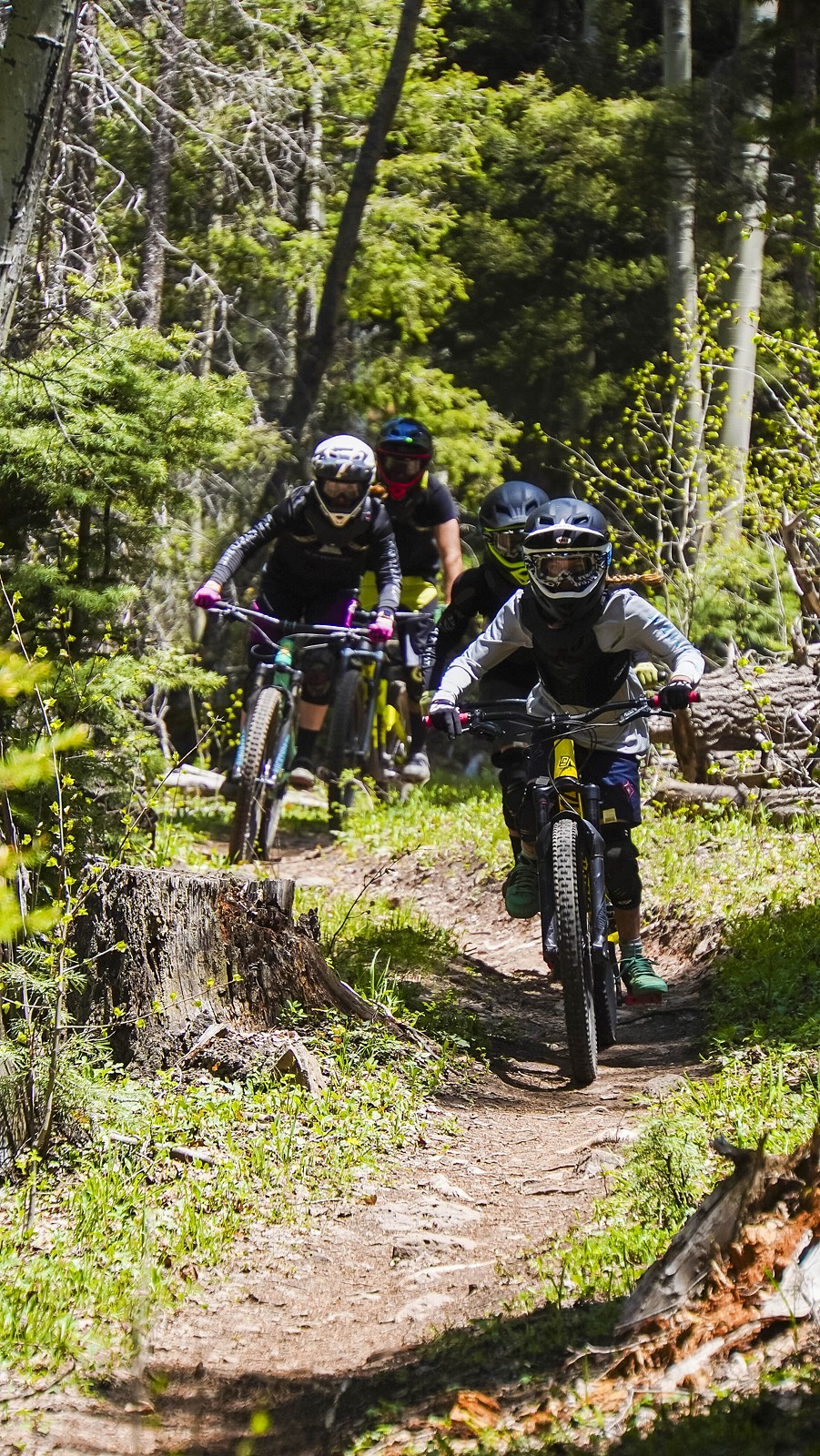 Family Ride Through The Trees Angel Fire Bike Park Mountain Biking