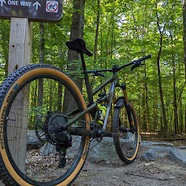 Revel Rail 29
