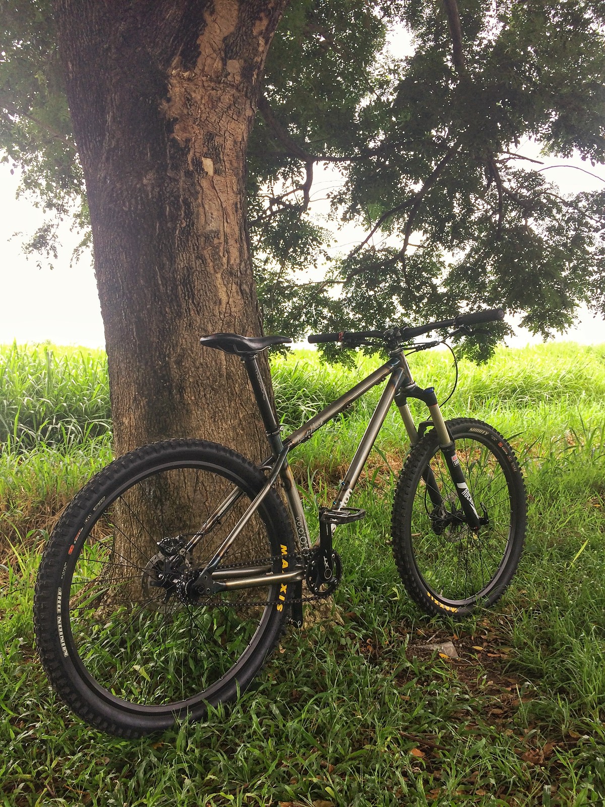 s1600 Snapseed.jpg?VersionId=DWp0W.2O37HK8wzpJ1tp