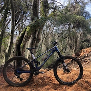 Mondraker Foxy Carbon R