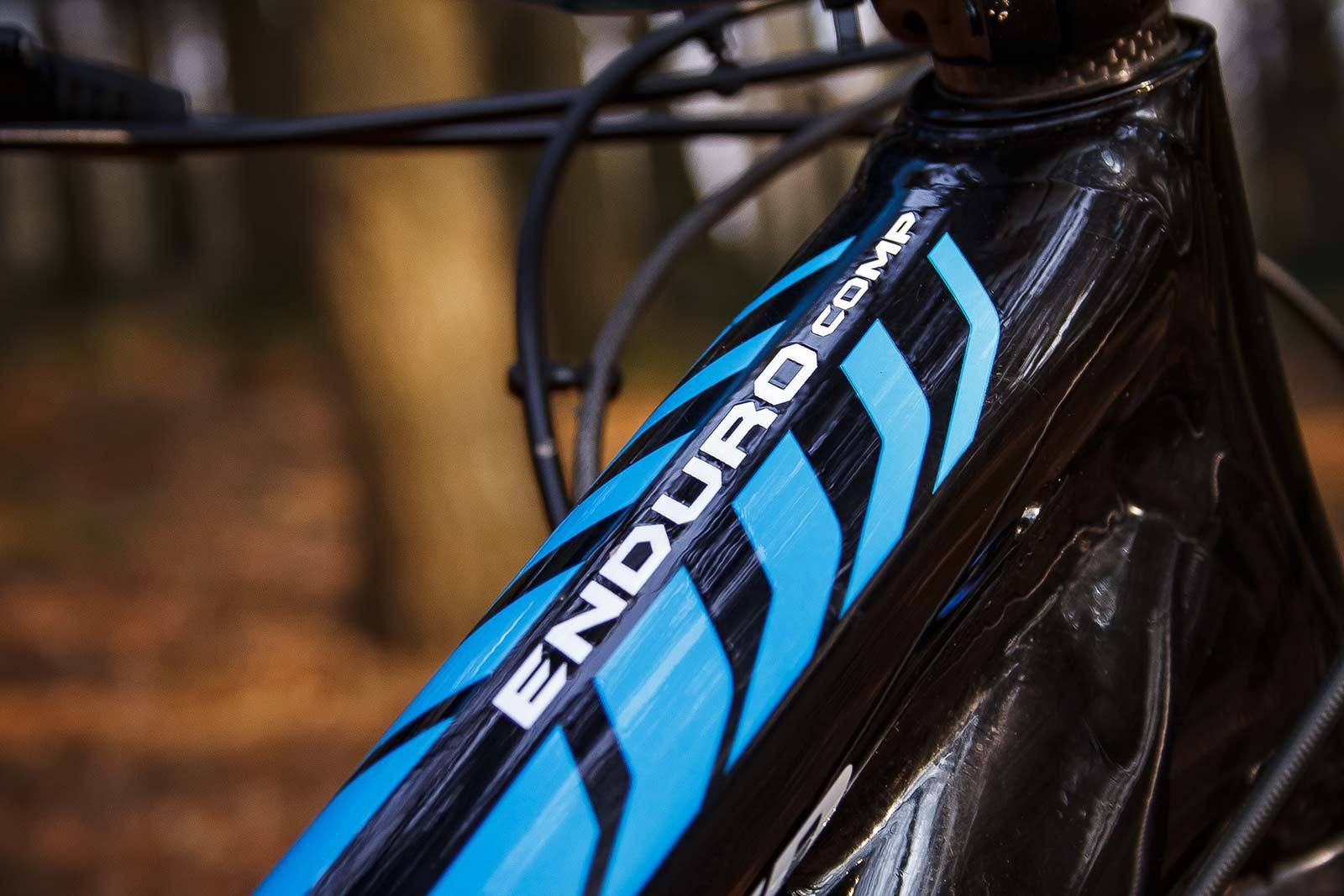 specialized enduro 29er