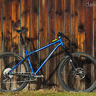 Transition TransAM 29