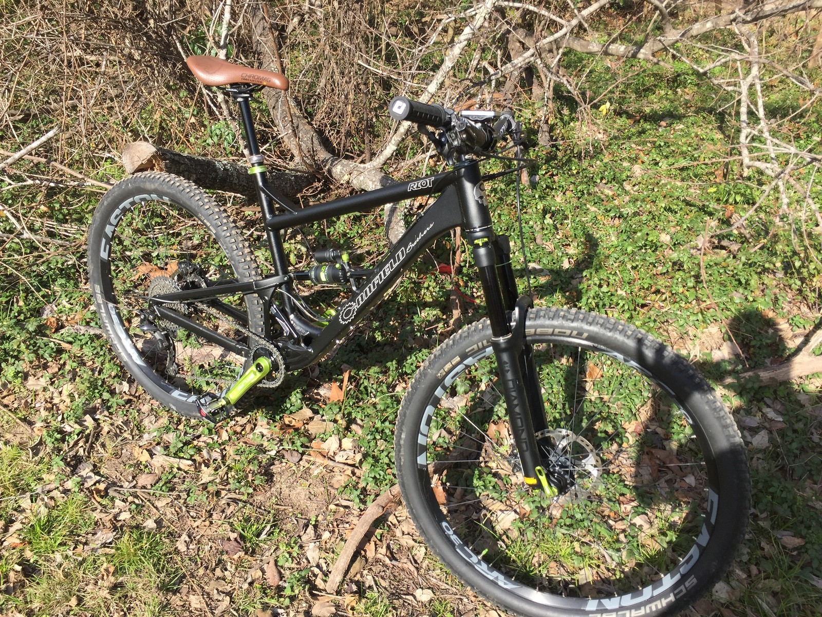 Canfield Brothers Riot (DVO Suspension) Amorfis's Bike Check Vital MTB