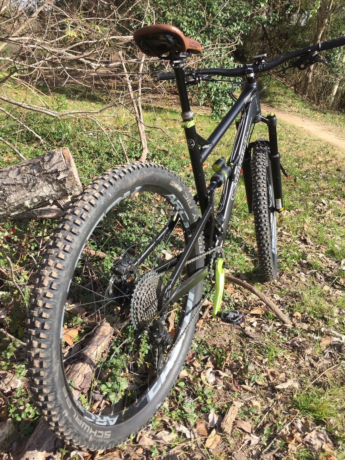 Canfield Brothers Riot (DVO Suspension) Amorfis's Bike Check Vital MTB