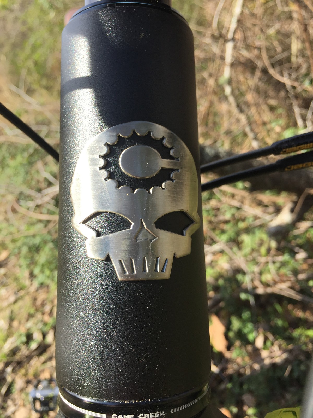 Canfield Brothers Riot (DVO Suspension) Amorfis's Bike Check Vital MTB