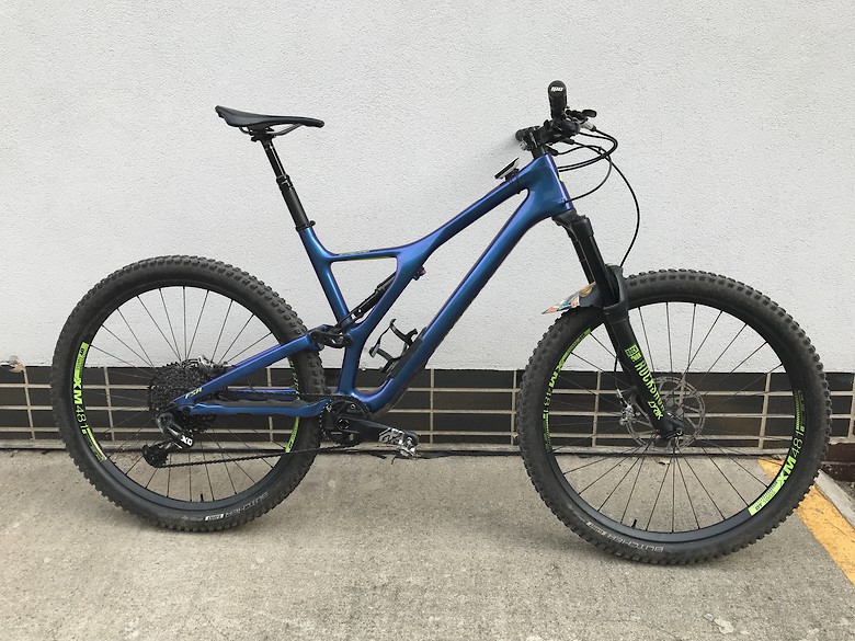 specialized stumpjumper 2019