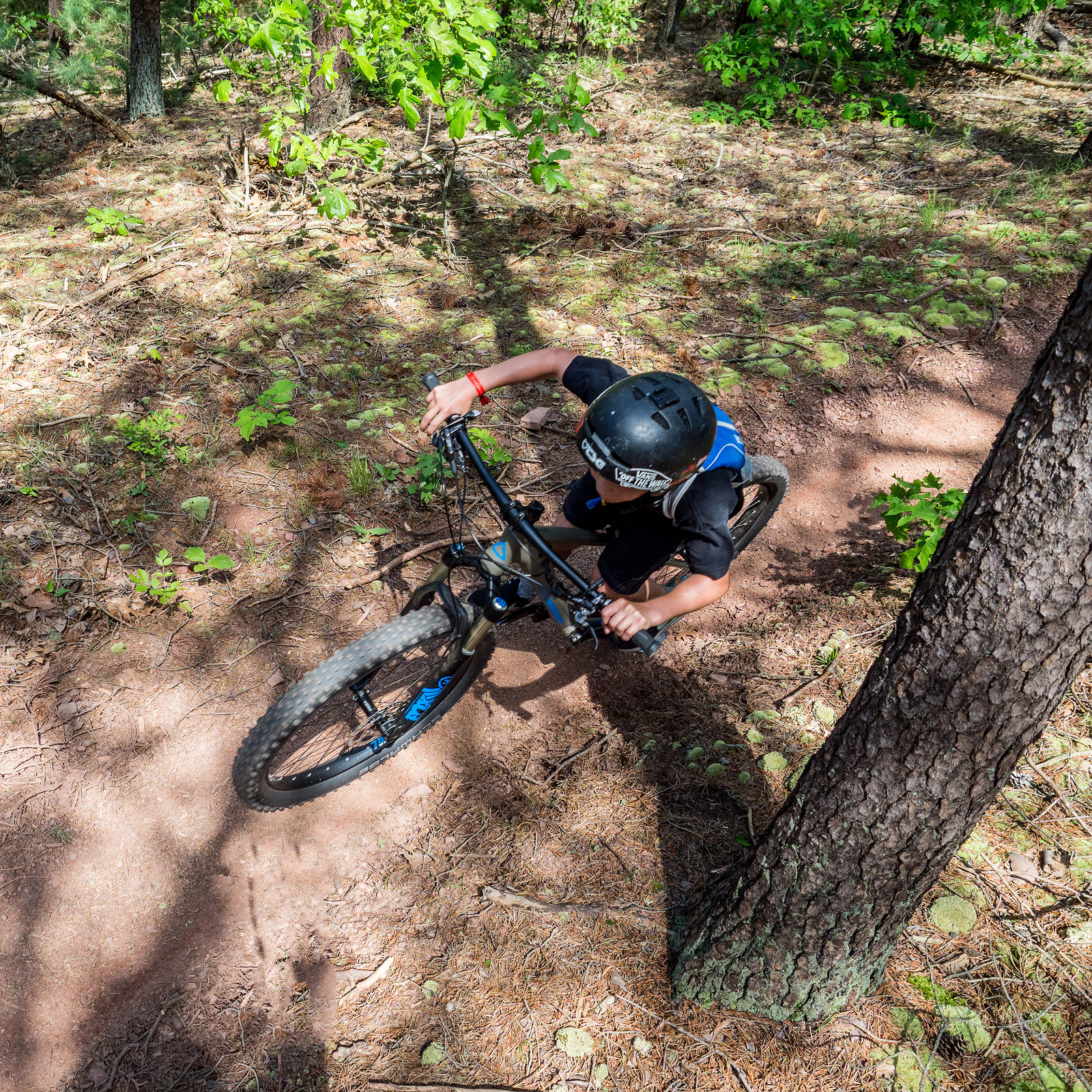 Jack McKinney Dirtfest 2017 MTBee Mountain Biking Pictures Vital MTB