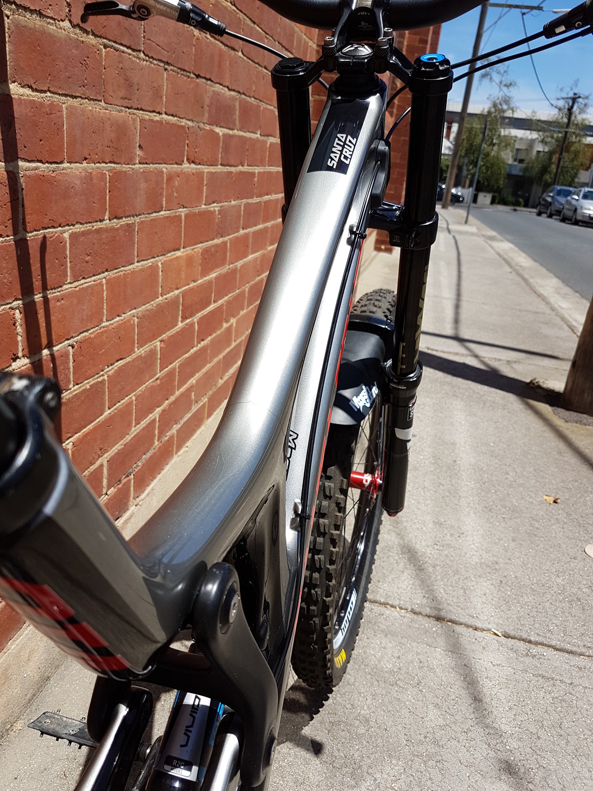 santa cruz v10 custom