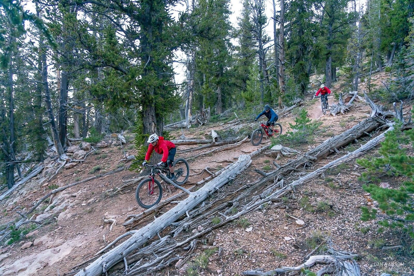 Cedar City MTB (54 of 120) ninguno Mountain Biking Pictures Vital MTB