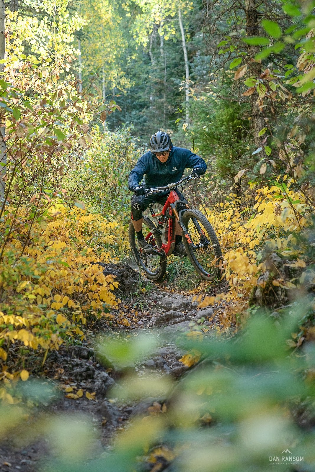 Cedar City MTB (70 of 120) ninguno Mountain Biking Pictures Vital MTB