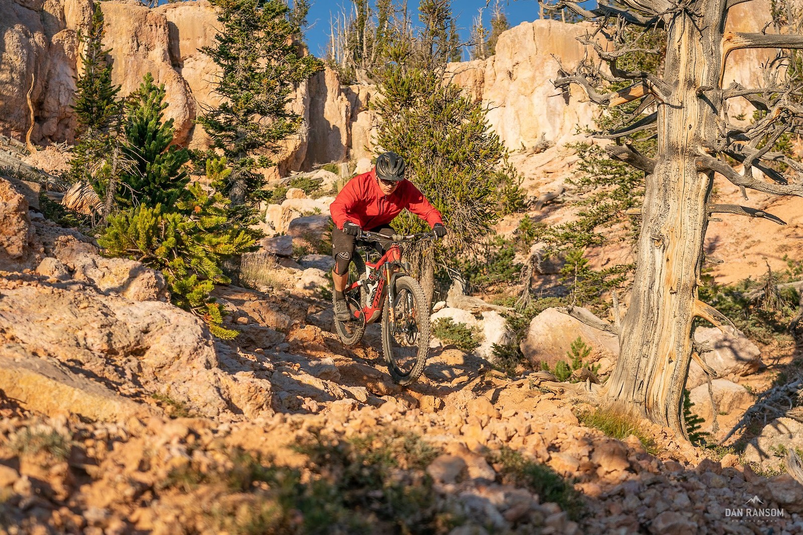 Cedar City MTB (113 of 120) ninguno Mountain Biking Pictures