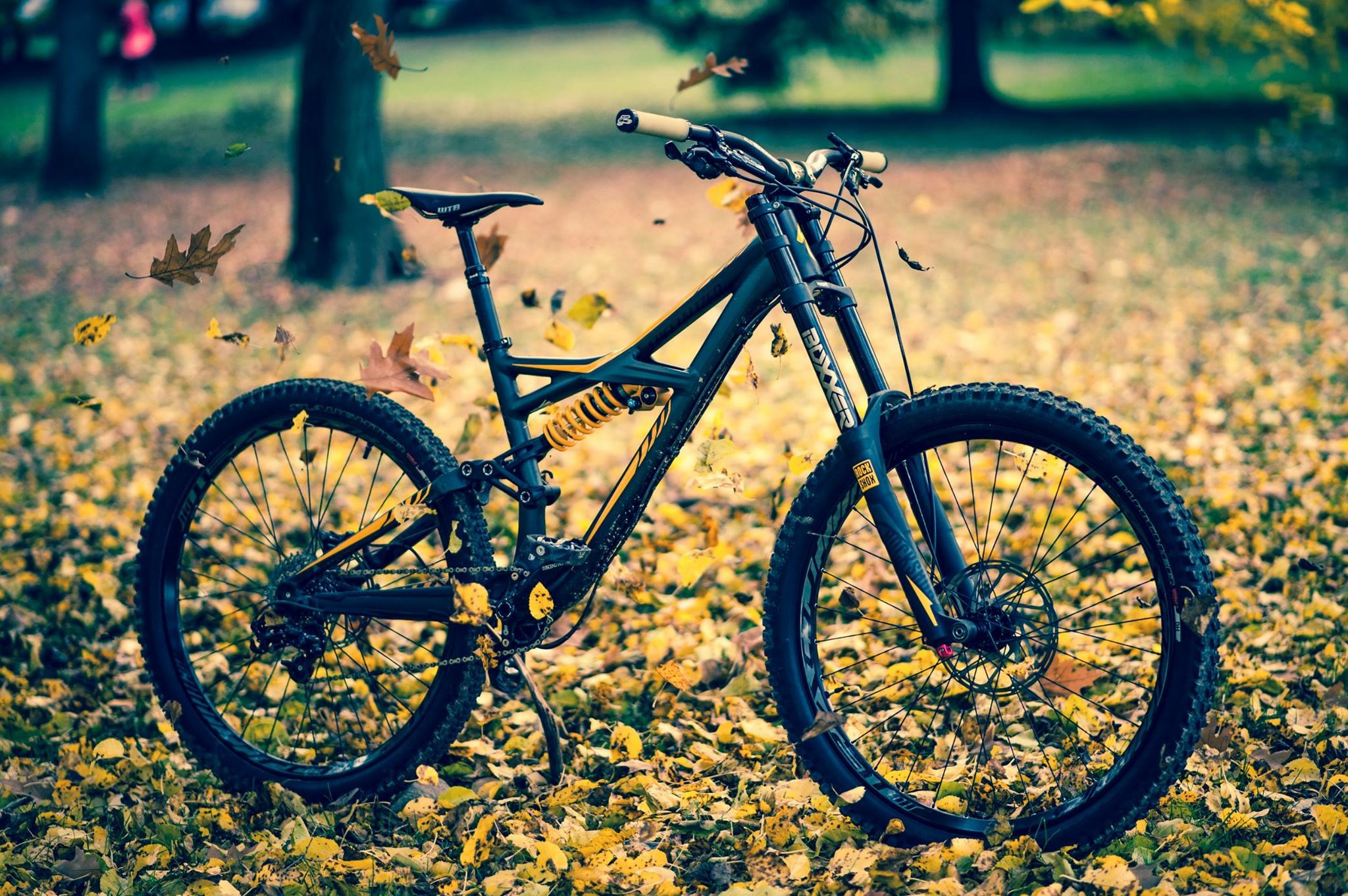 internal gear hub bikes