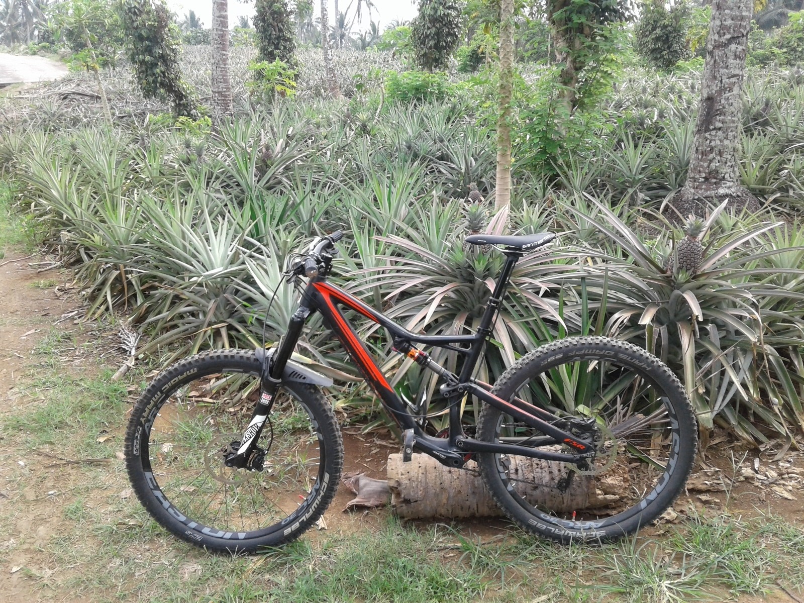 Specialized Stumpjumper 2016 marvin_medina's Bike Check Vital MTB