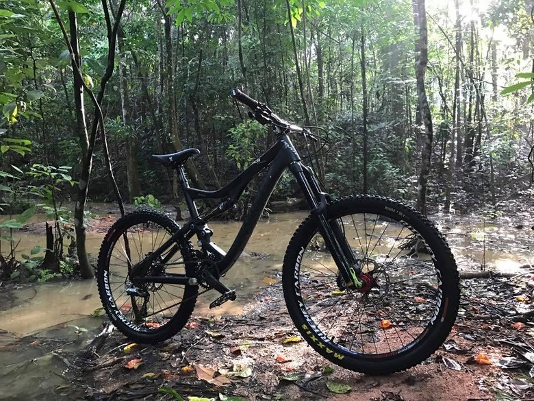 2013 pivot mach 5.7