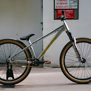 Custom Santa Cruz Jackal "Silver Surfer"