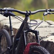 SWORKS Stumpjumper 2020