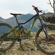 Knolly Warden Carbon