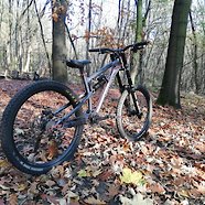 Dartmoor Roots 2015 Custom