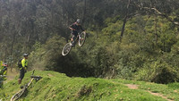 MateoPateo