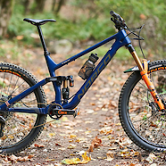 Norco Sight 29 "Bonko".