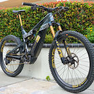 Intense Tazer Gold Edition