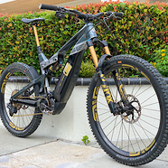 Intense Tazer Gold Edition