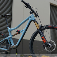 Ibis Ripley, FOX 36 & DPX2