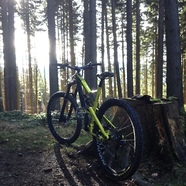 mtb yt capra