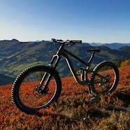 Transition Patrol 2019 Custom