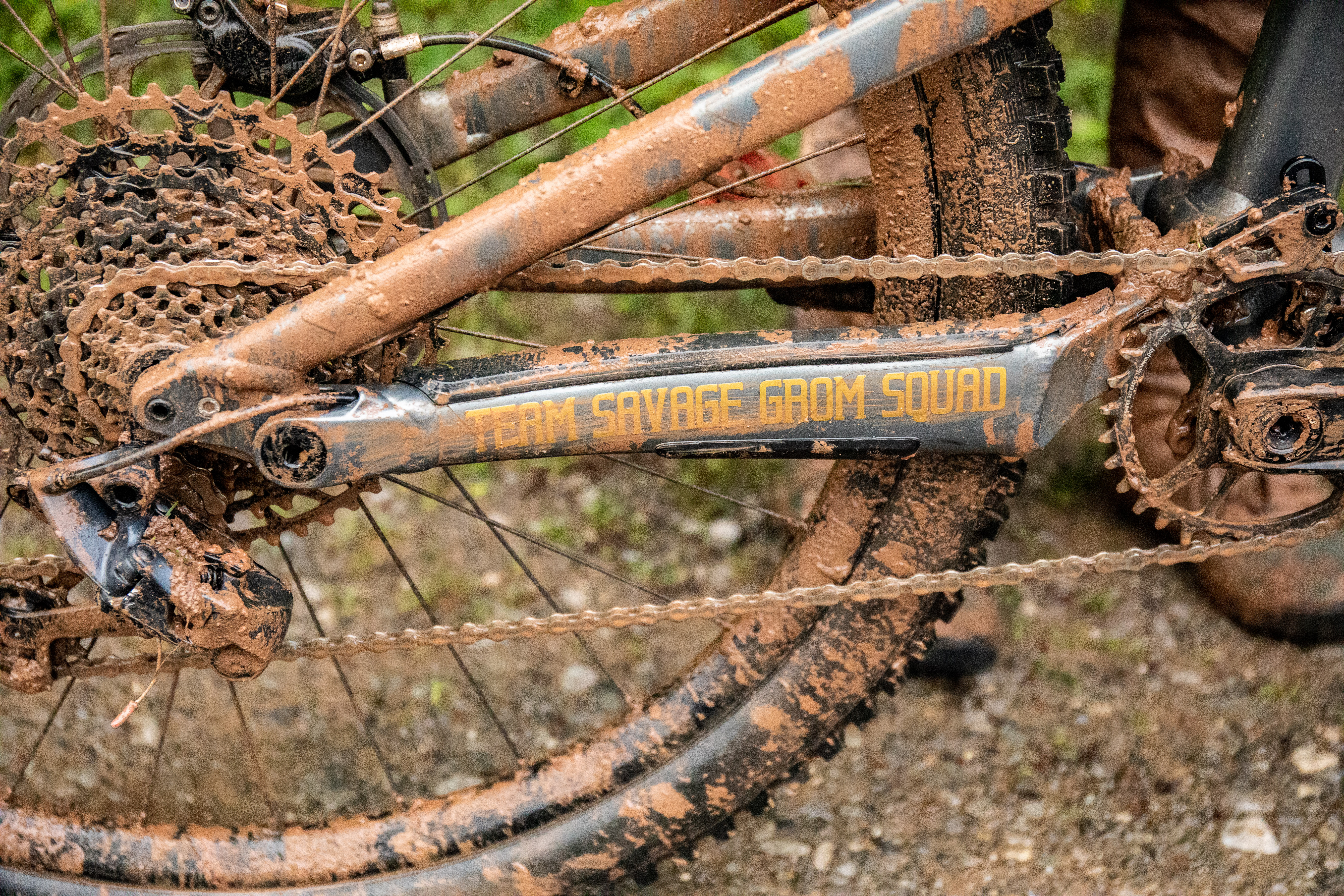 Pacheco bike clearance