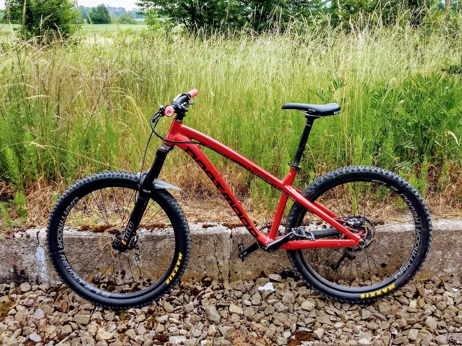 Dartmoor Red Devil 2017 godzinilla's Bike Check Vital MTB