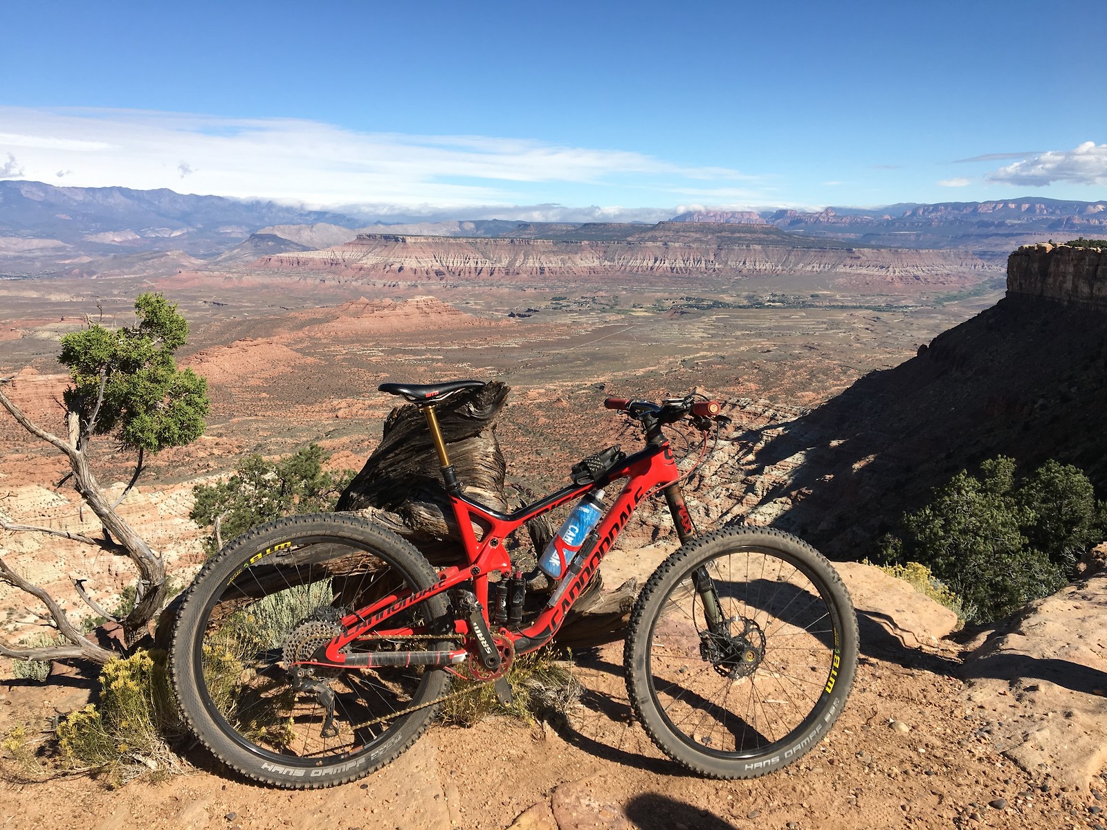 canyon bikes spectral