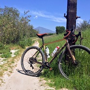 C186_img_0713