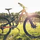 Custom Rocky Mountain Instinct BC