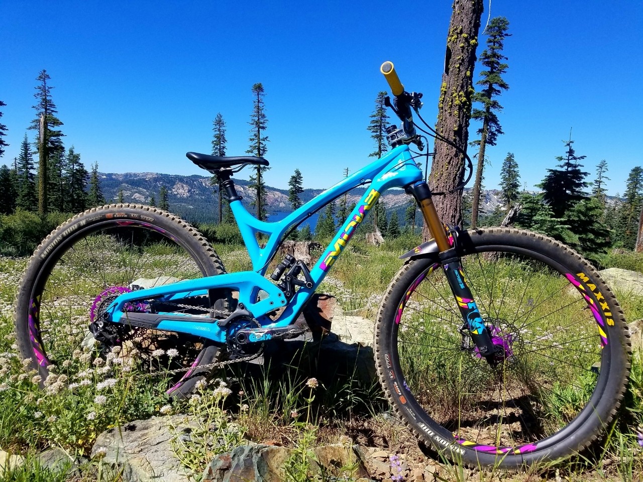 Evil Wreckoning Goride45's Bike Check Vital MTB