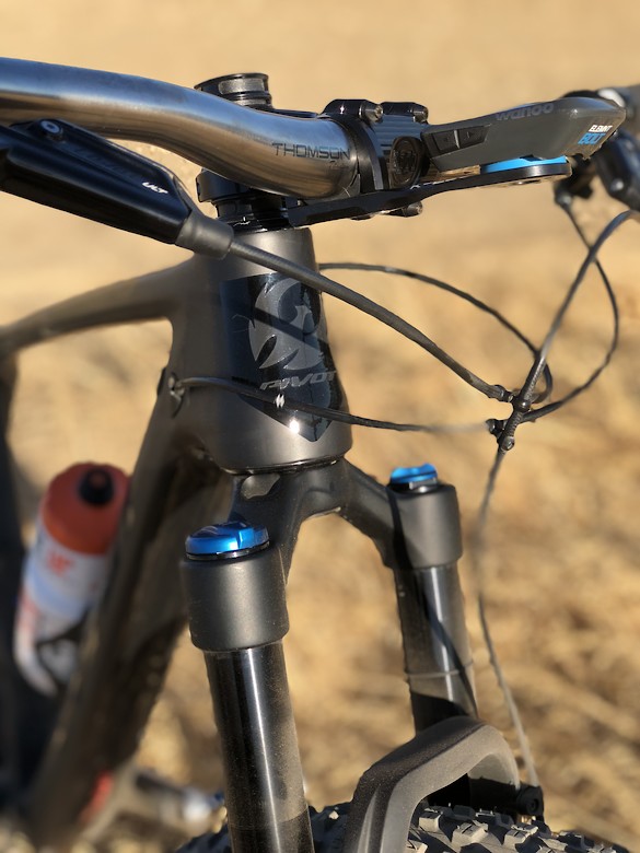 pivot les single speed