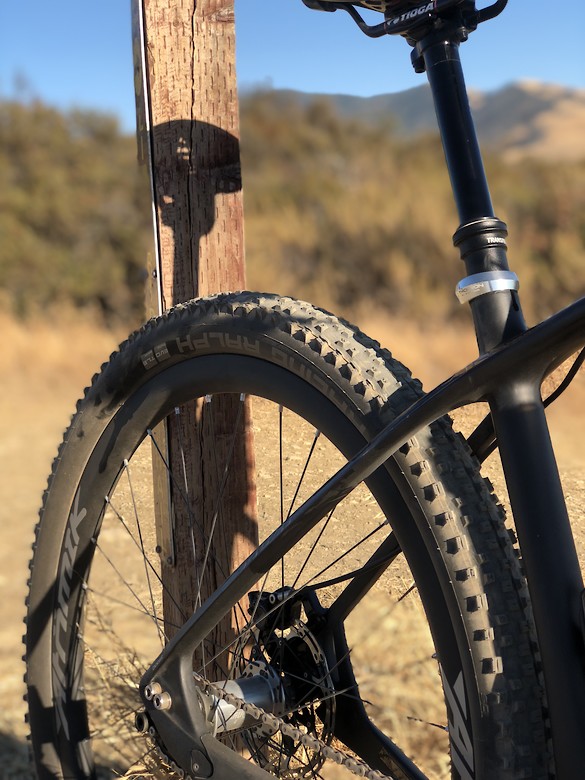 pivot les single speed