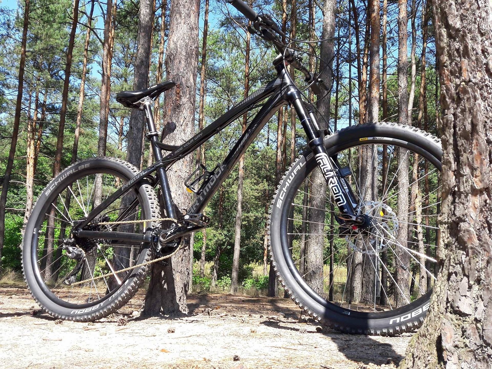 Dartmoor Black Primal Konrad185's Bike Check Vital MTB