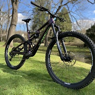 S-Works Enduro Dream Build