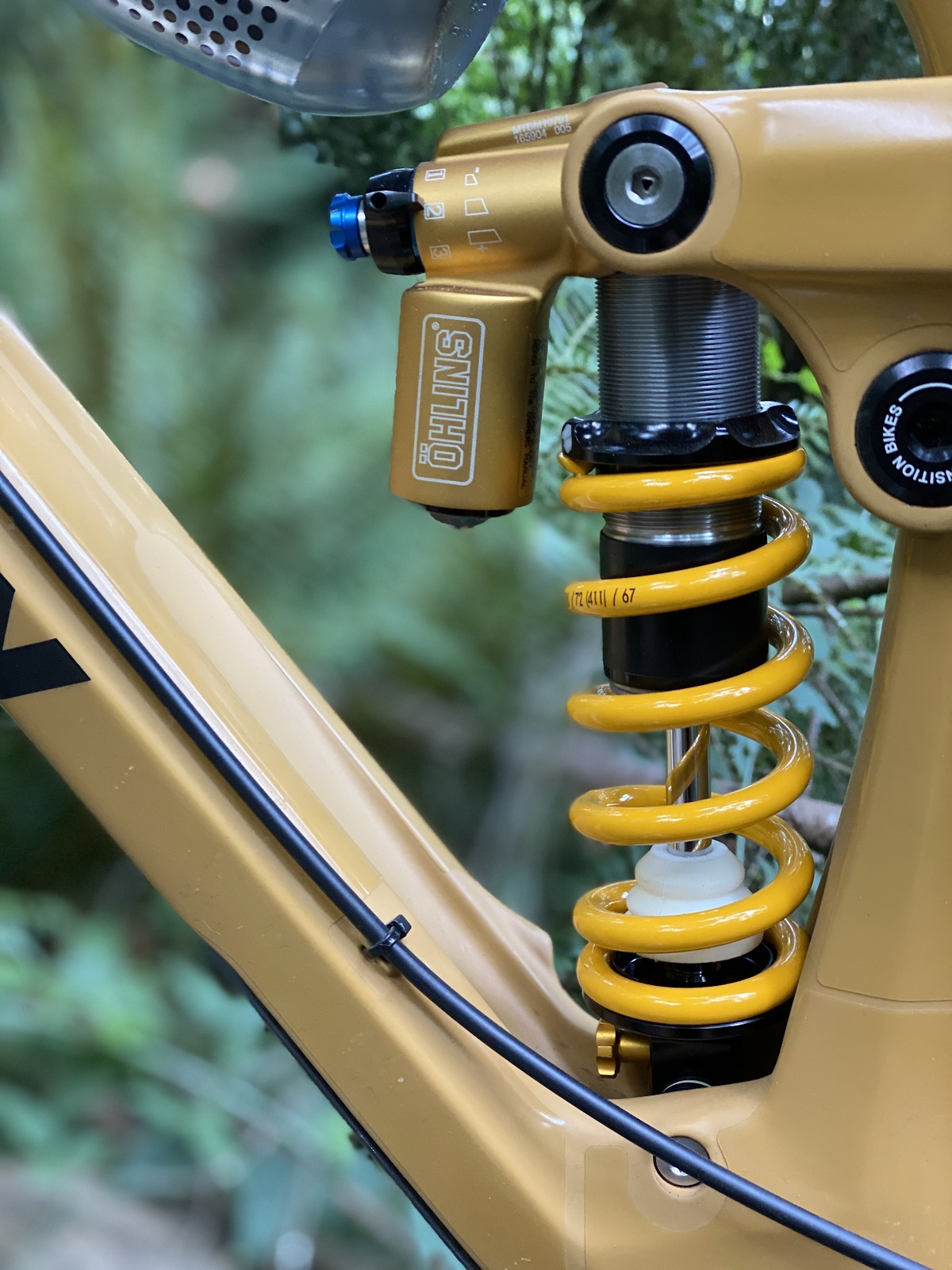Transition Sentinel V2 ijak's Bike Check Vital MTB