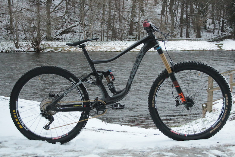 knolly warden carbon