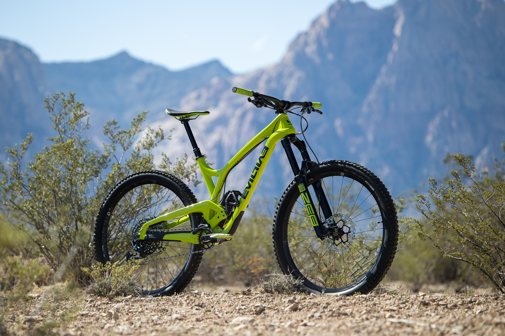 2020 Evil Wreckoning LB mscofield4's Bike Check Vital MTB