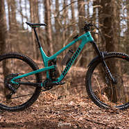Propain Tyee CF 29 Badmint